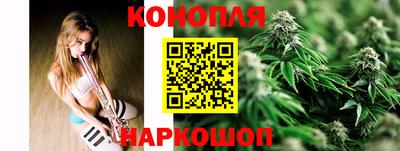 Альфа ПВП Будённовск